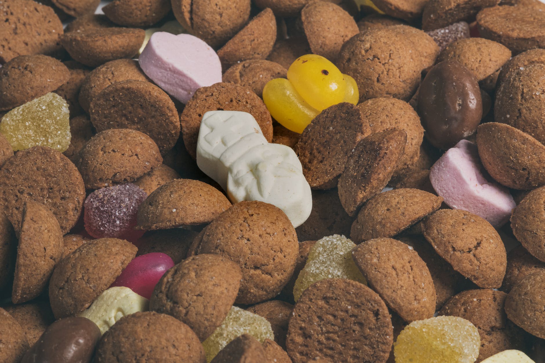 Gezellig Sinterklaas