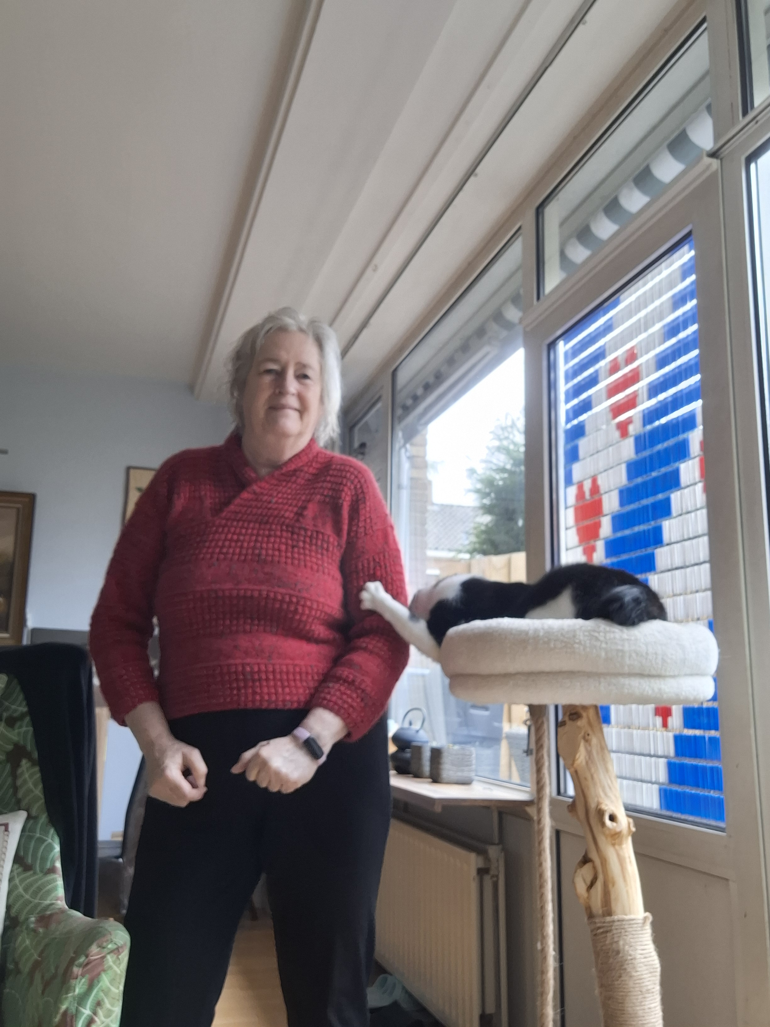 Tango Video + Playing Dress Up + Reader Magnets by Kirsten Bett – Happiness Between Tails by da-AL