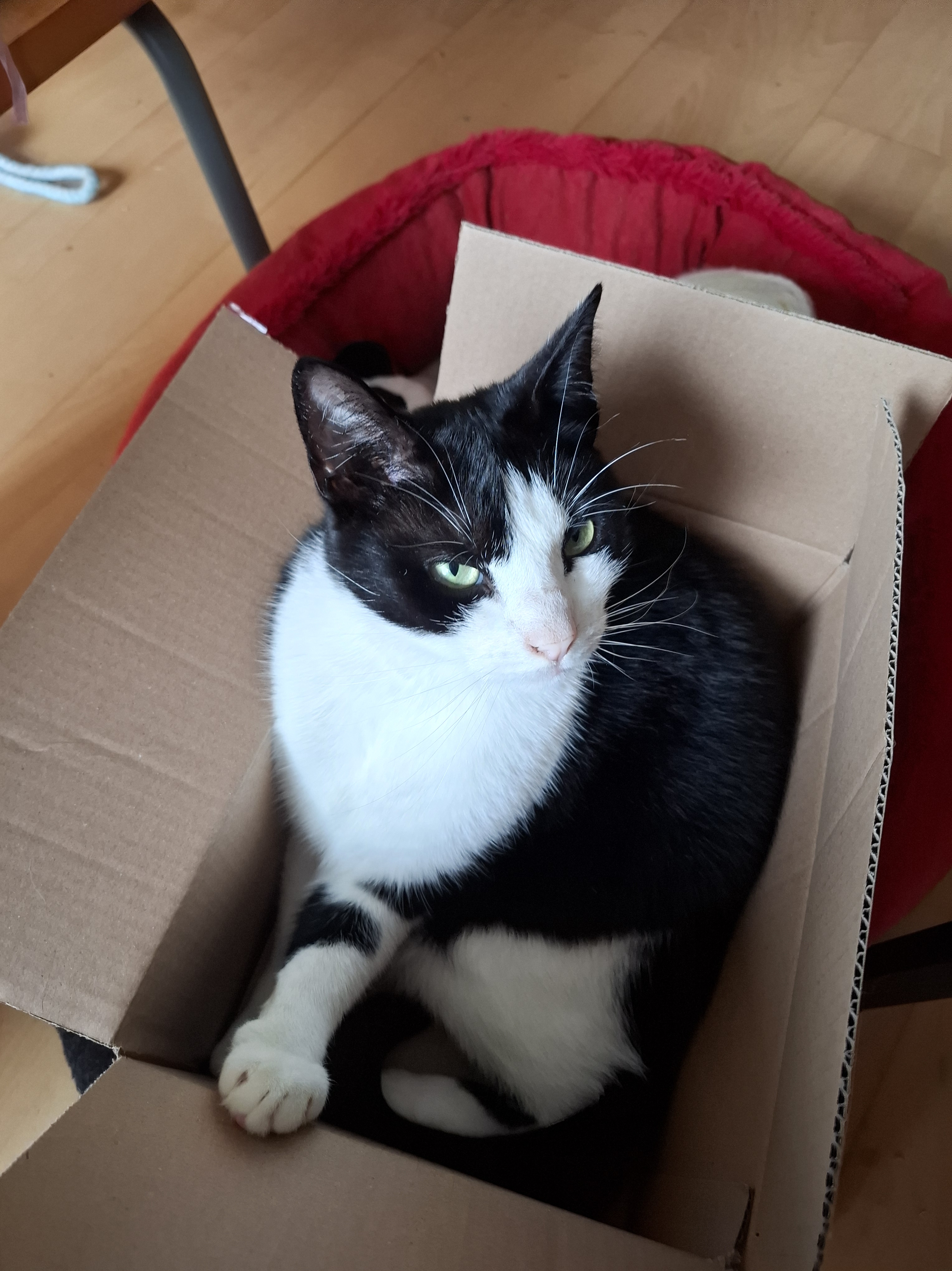 Max ❤️ Max litter-ature