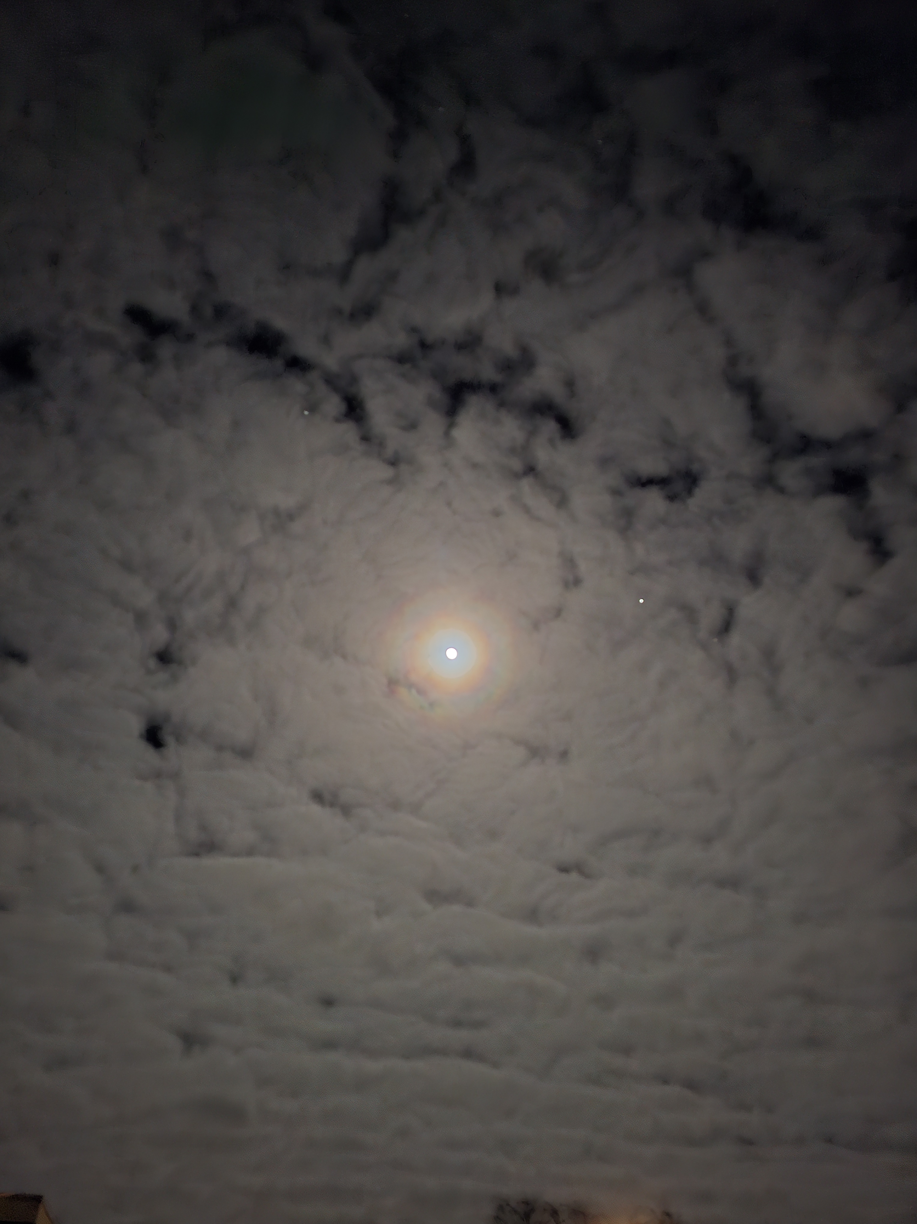 Only Quality Books promo